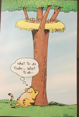 Far Side what to do what to do