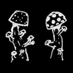 BigMushrooms1