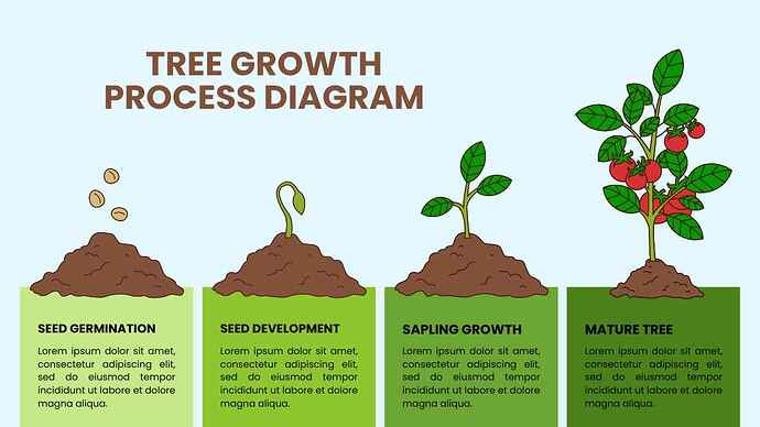 Illustrated-Tree-Growth-Process-Diagram-1
