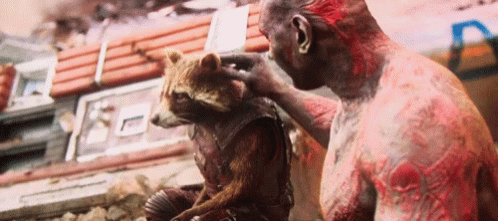 Drax The Destroyer Pets Rocket Raccoon