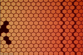 NGE penetration alert