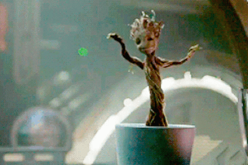 Groot Dance