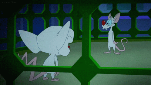 Animaniacs The Brain GIF - Animaniacs The Brain Were Taking Over The World -...