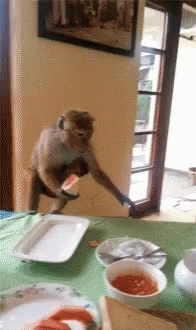 Monkey Running Late After Stealing Watermelon
