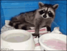 Ice Cream Cute GIF - Ice Cream Cute Hungry - Discover & Share GIFs