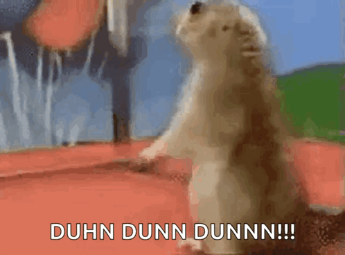Nani Prairie Dog's Dramatic Reaction