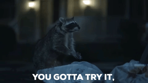 Geico_raccoon_mango_chutney_burnt_hair