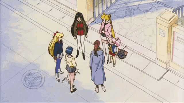 sailor-moon-split-up