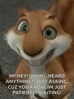 Squirrel Patiently Waiting Meme